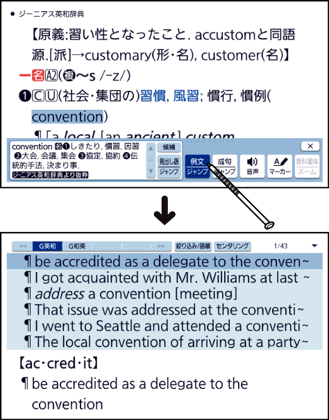 Examine_Example_Sentences Phrases 002 SB6880